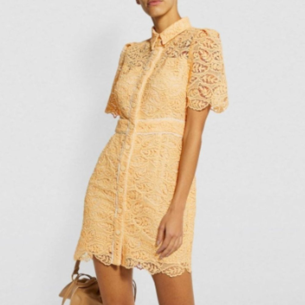 SANDRO Live Grosgrain-trimmed Corded Lace Mini Dress In Eggshell